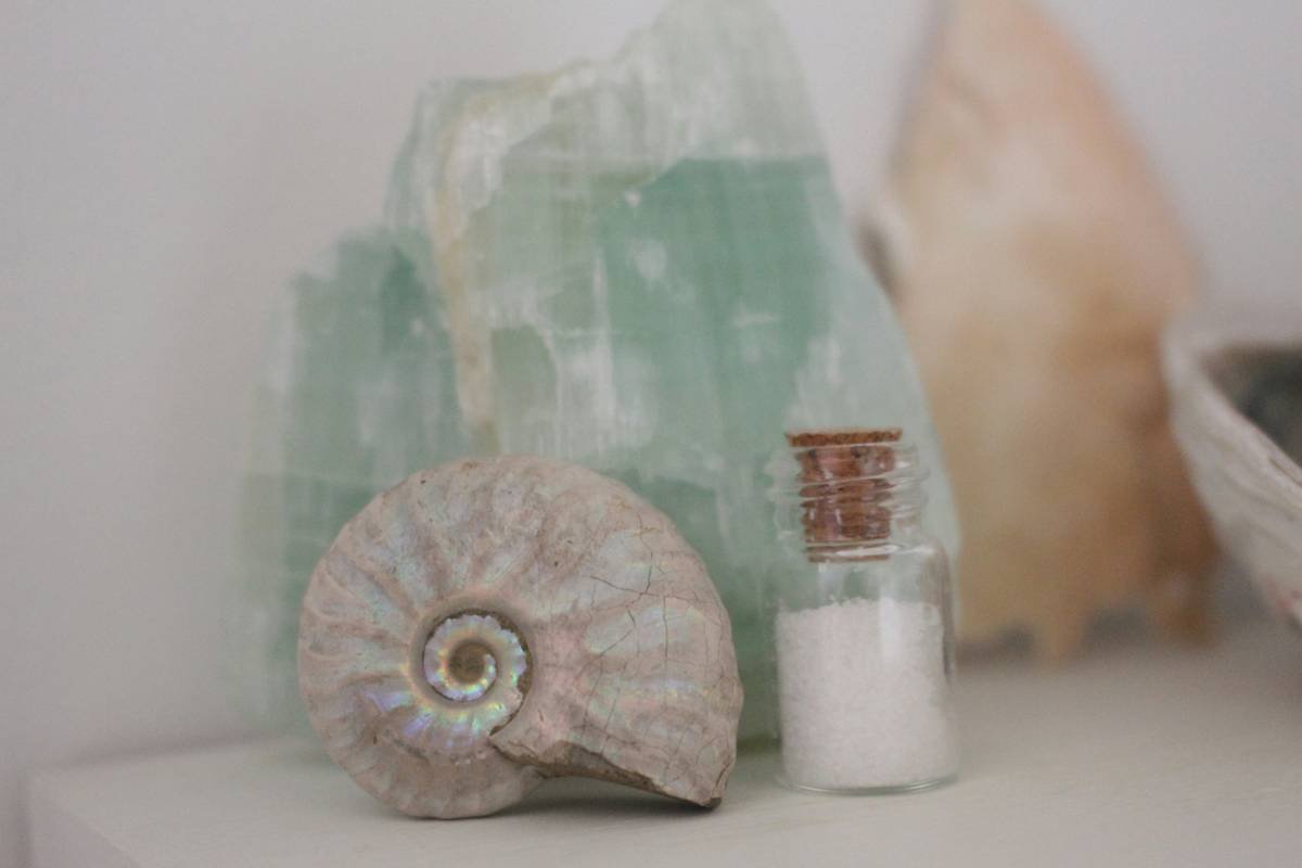 Beach House Decor Coastal Sand Dollar: Your Ultimate Guide to Effortless Seaside Style