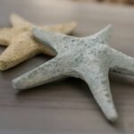 styles coastal furniture ideas starfish