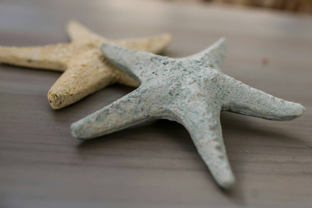styles coastal furniture ideas starfish